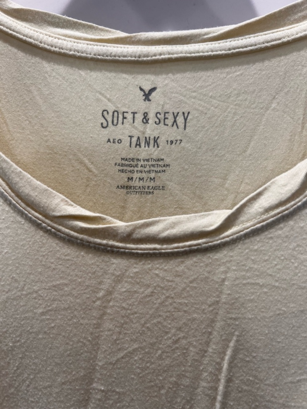 American Eagle Outfitters Soft & Sexy Light Cream Scoop Tank - Picture 3 of 6
